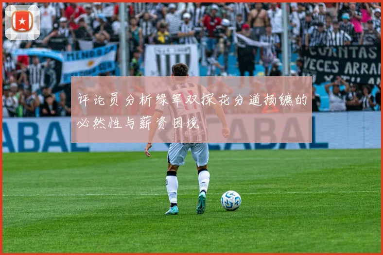 评论员分析绿军双探花分道扬镳的必然性与薪资困境