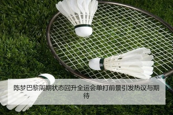 陈梦巴黎周期状态回升全运会单打前景引发热议与期待（SANYI）